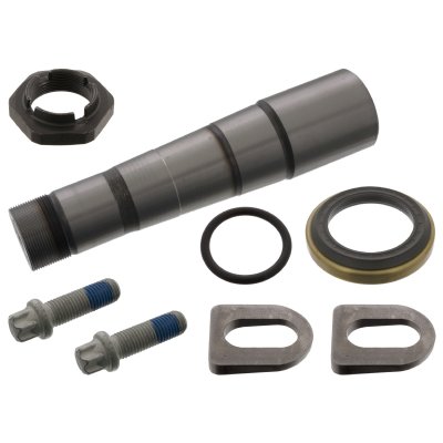 Febi Bilstein King Pin Set 45688