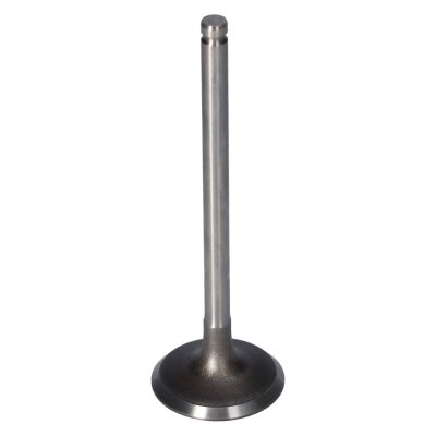 Febi Bilstein Inlet Valve 181650
