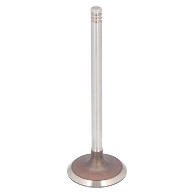 Febi Bilstein Inlet Valve 183492