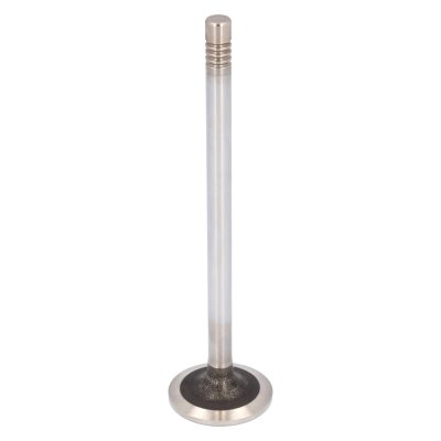 Febi Bilstein Inlet Valve 184141