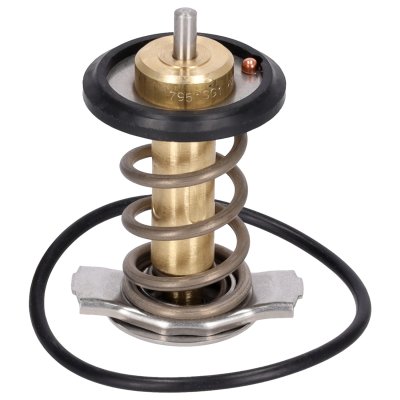 Febi Bilstein Thermostat 185598
