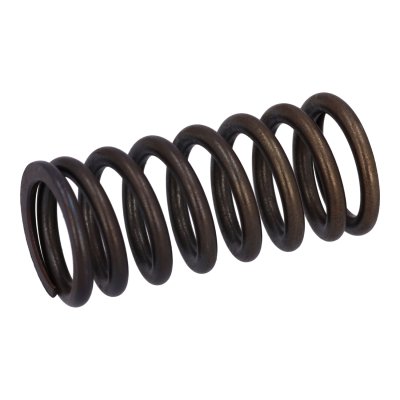 Febi Bilstein Valve Spring 187743