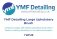 YMF Detailing Large Upholstery Brush